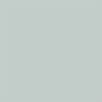 Lichtgrijs RAL 7035