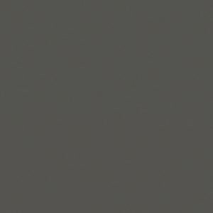 Schaduwgrijs RAL7022