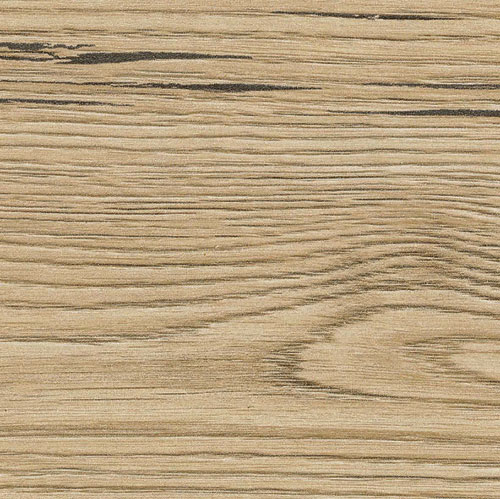 Brunswick eiken