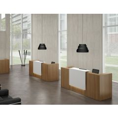 Exclusieve receptiebalie