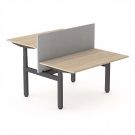 Zit sta bureau Elektrisch 5ive duo - 200 x 90 cm