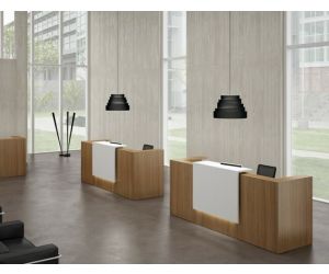 Exclusieve receptiebalie