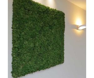 Mosschilderij H80 x B80cm