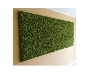 Mosschilderij - 80 x 200 cm
