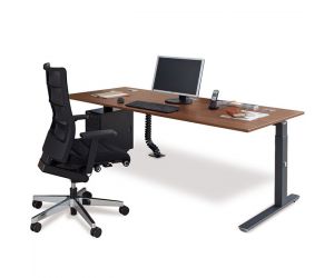 Palmberg Solitair zit sta bureau