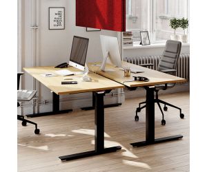 Palmberg Solitair zit sta bureau